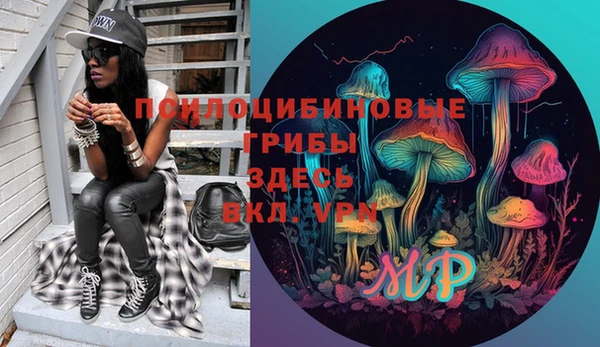 дурь Алексеевка