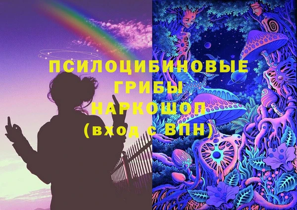 гашик Алексин