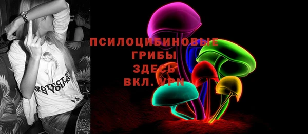 дмт Аркадак