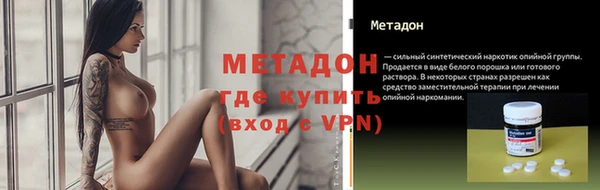 гашик Алексин